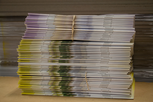 Saddle Stitched books